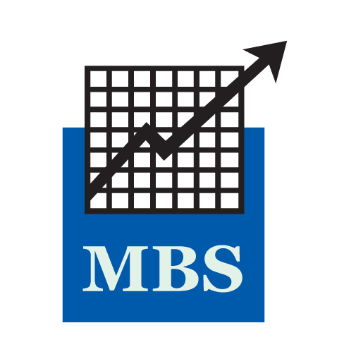 MBS Meguid Business Services